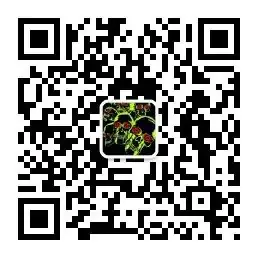 【绞肉机】杀死宣言【口死戏剧】 原文图像 2