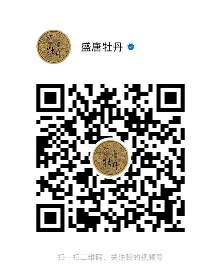 开票丨'MEET' Dramatic music & drama live 十一假期相逢戏剧展演 原文图像 18