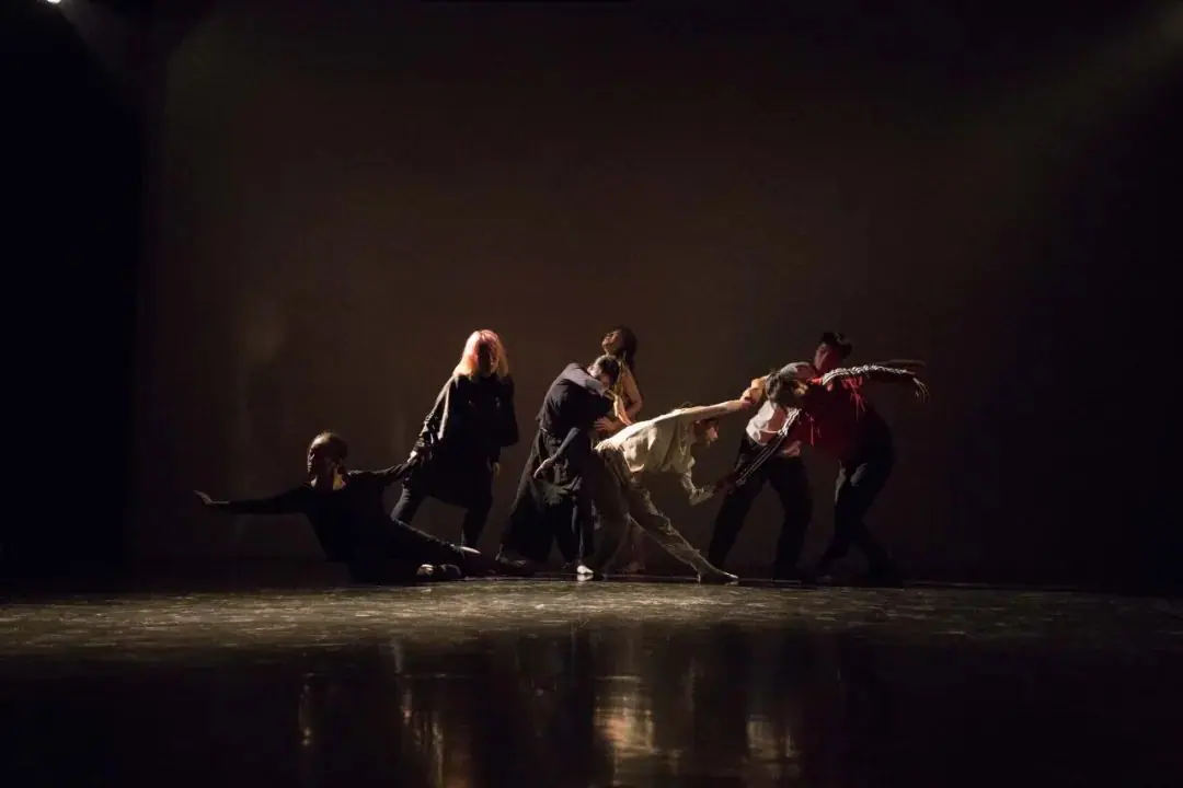 本周六「p4剧场」舞蹈剧场《茧房》公演&万圣节重生狂欢之夜 原文图像 5